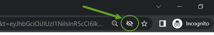 Chrome_loading_screen.png